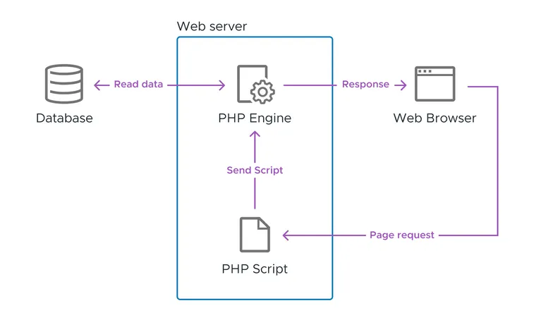 A diagram that shows how a web browser request a page to a web server. It receives the request, prepares the PHP script and sends it to the PHP engine. After fetching all the data from the database, it returns the response to the browser